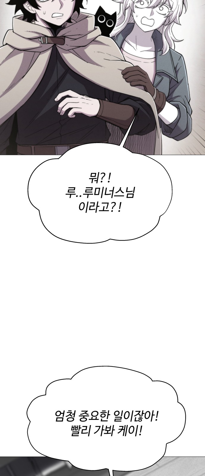 43 페이지