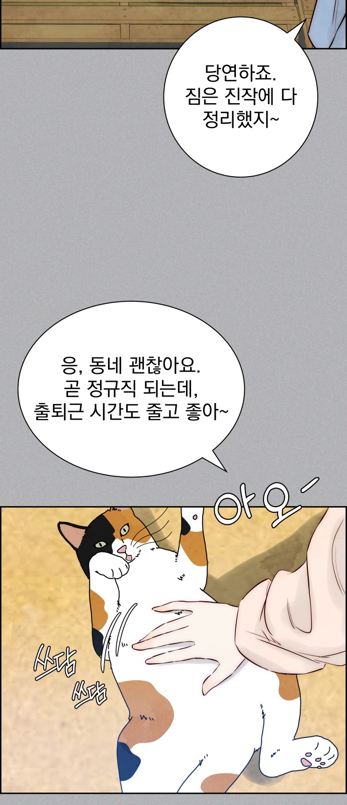 20 페이지