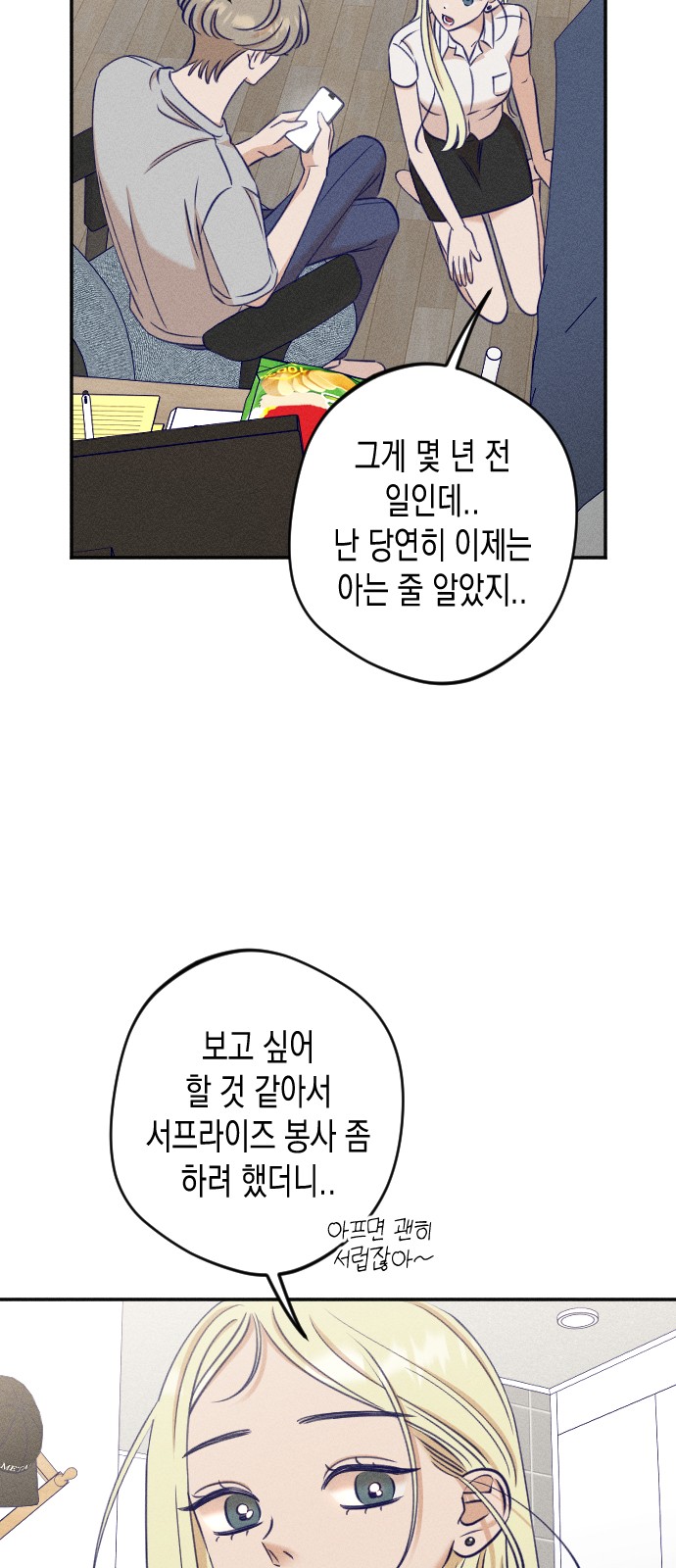 43 페이지