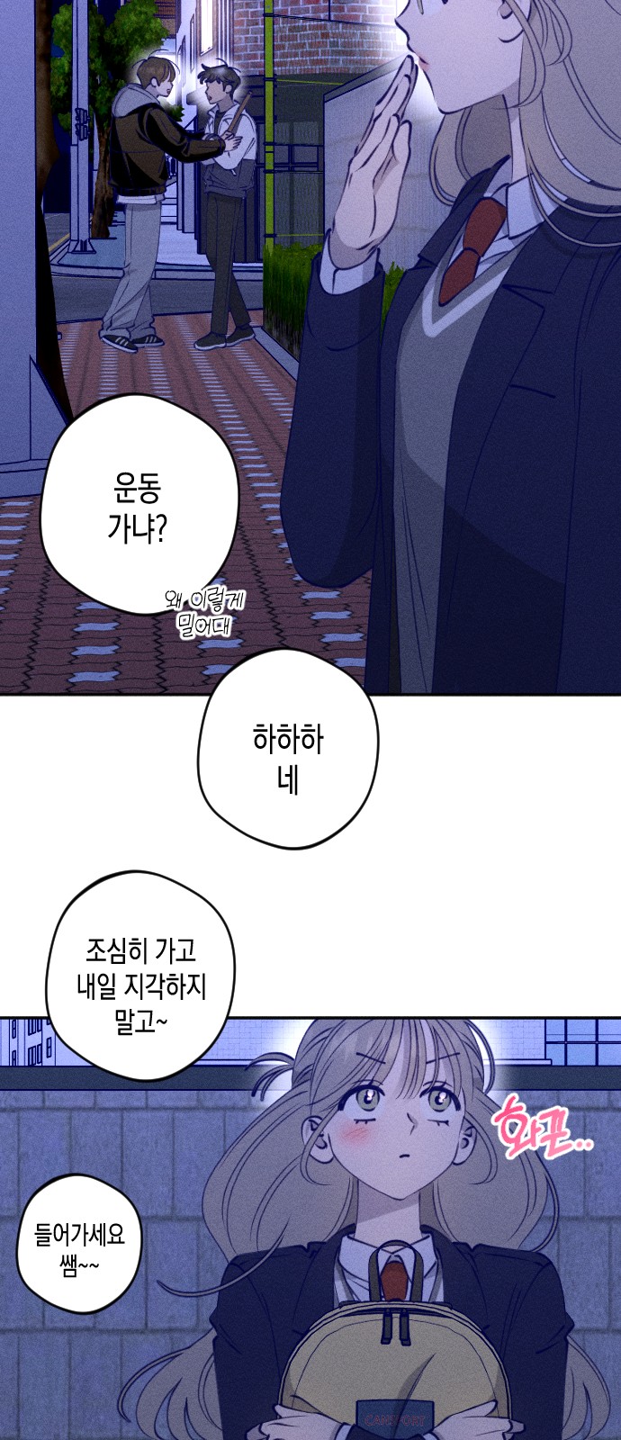 30 페이지