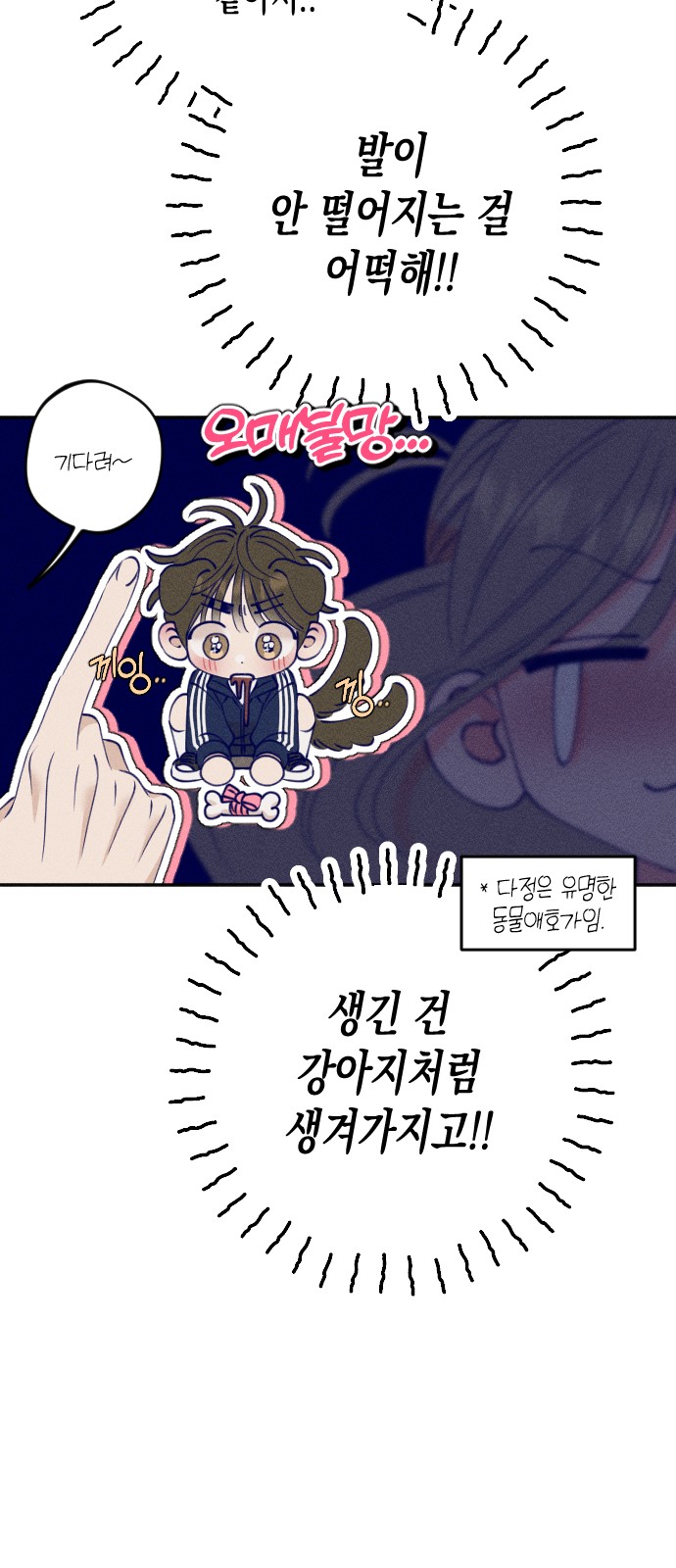 37 페이지