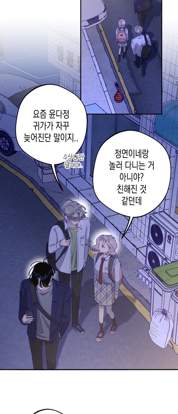 30 페이지