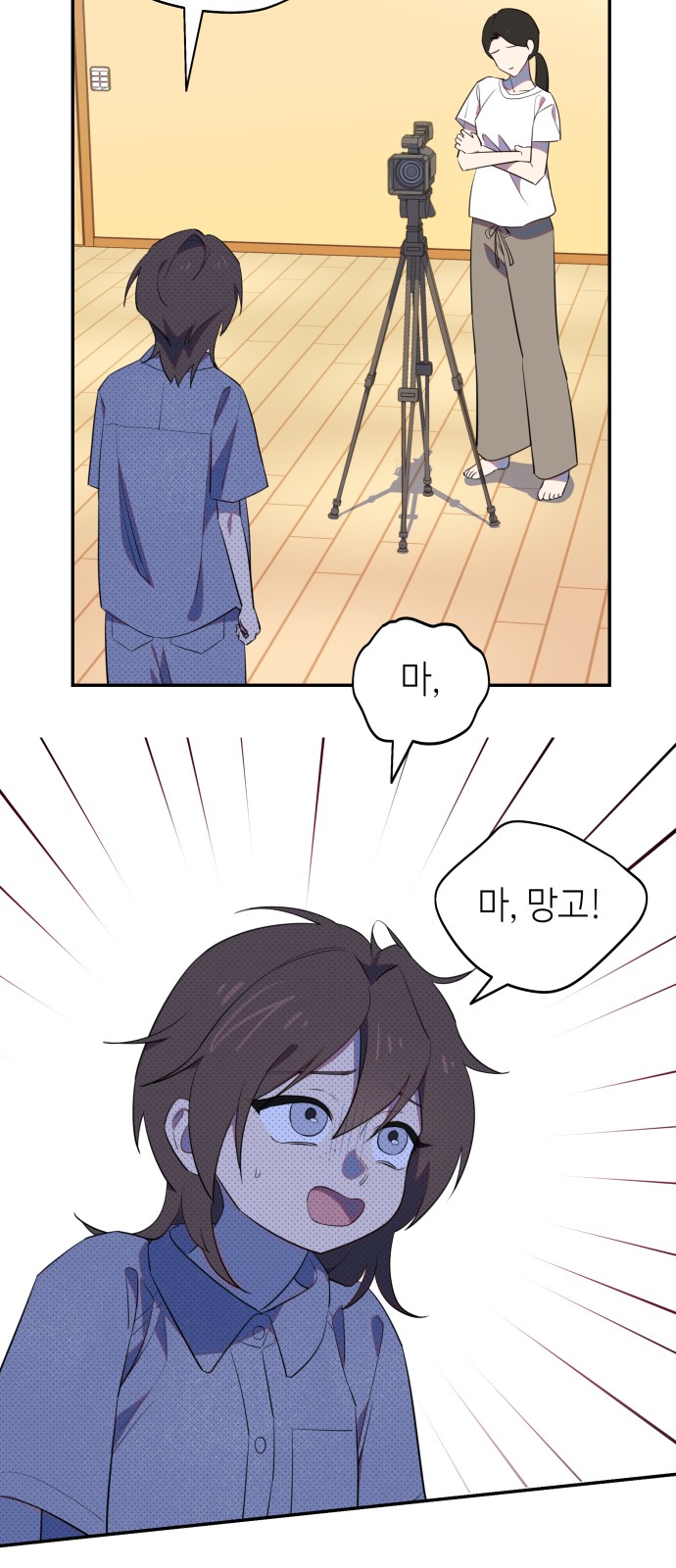 46 페이지