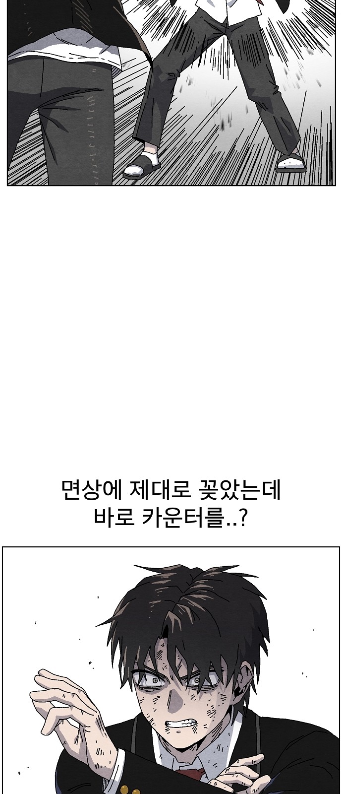 66 페이지
