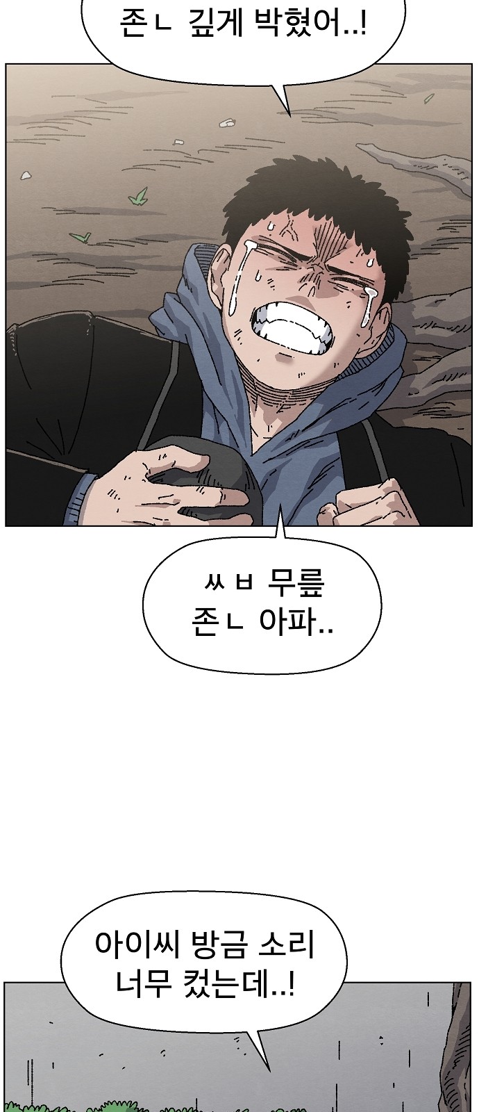 43 페이지