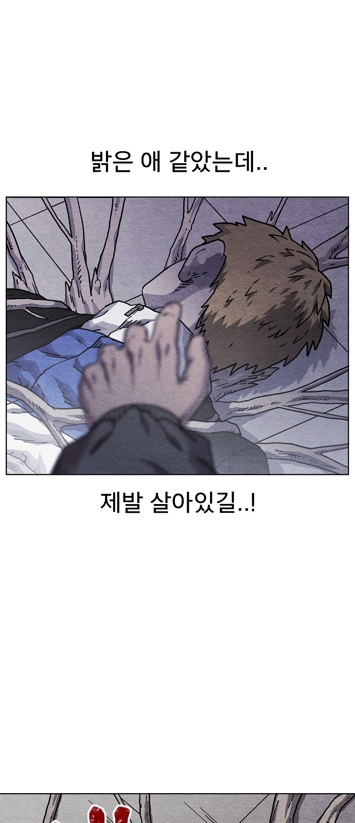 51 페이지