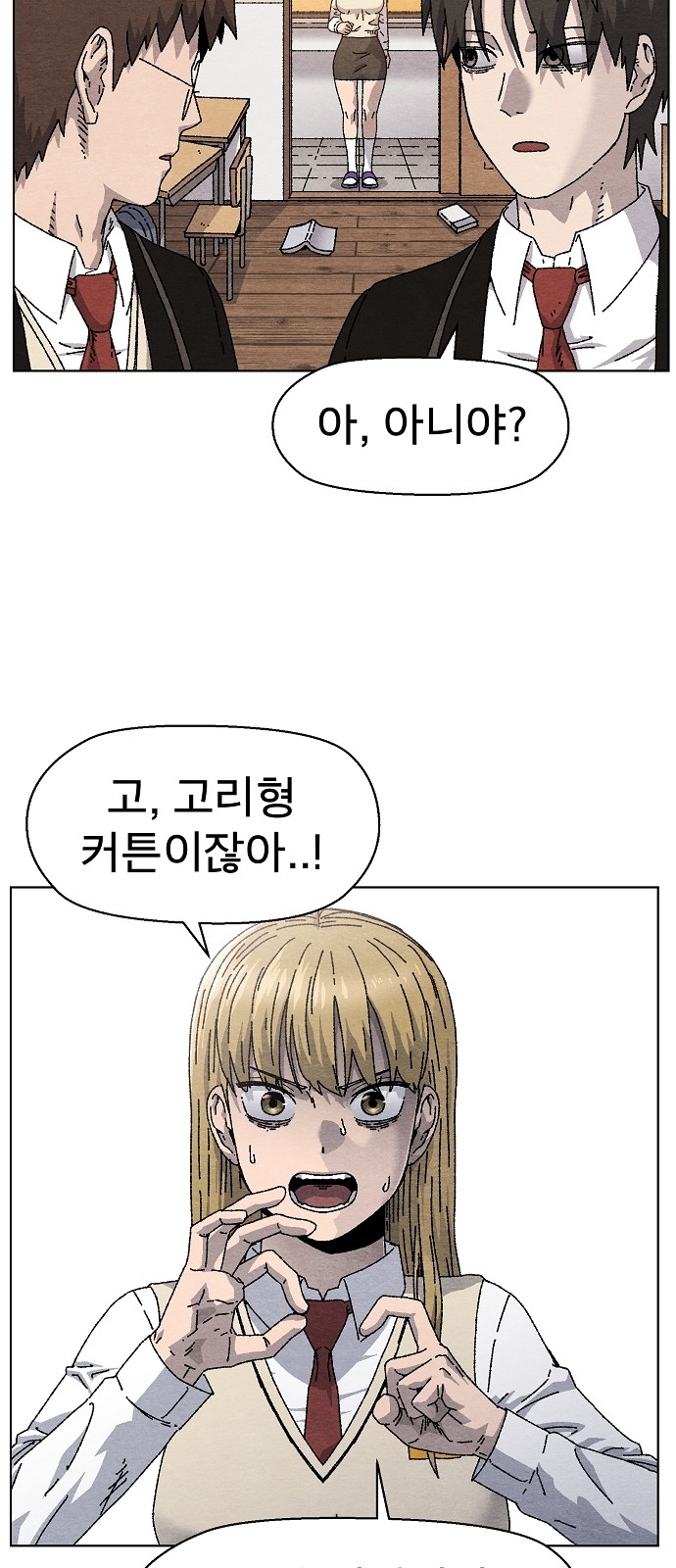43 페이지