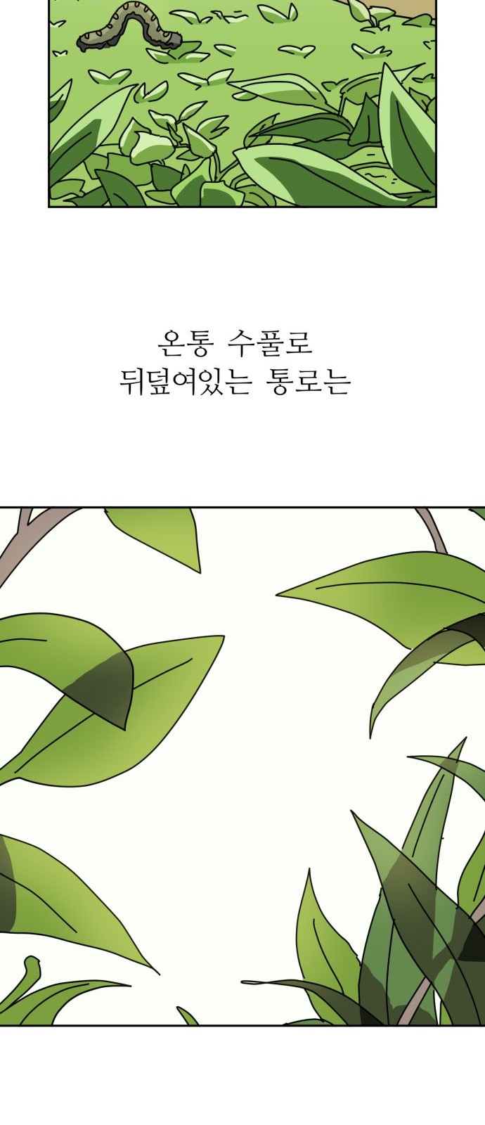 75 페이지