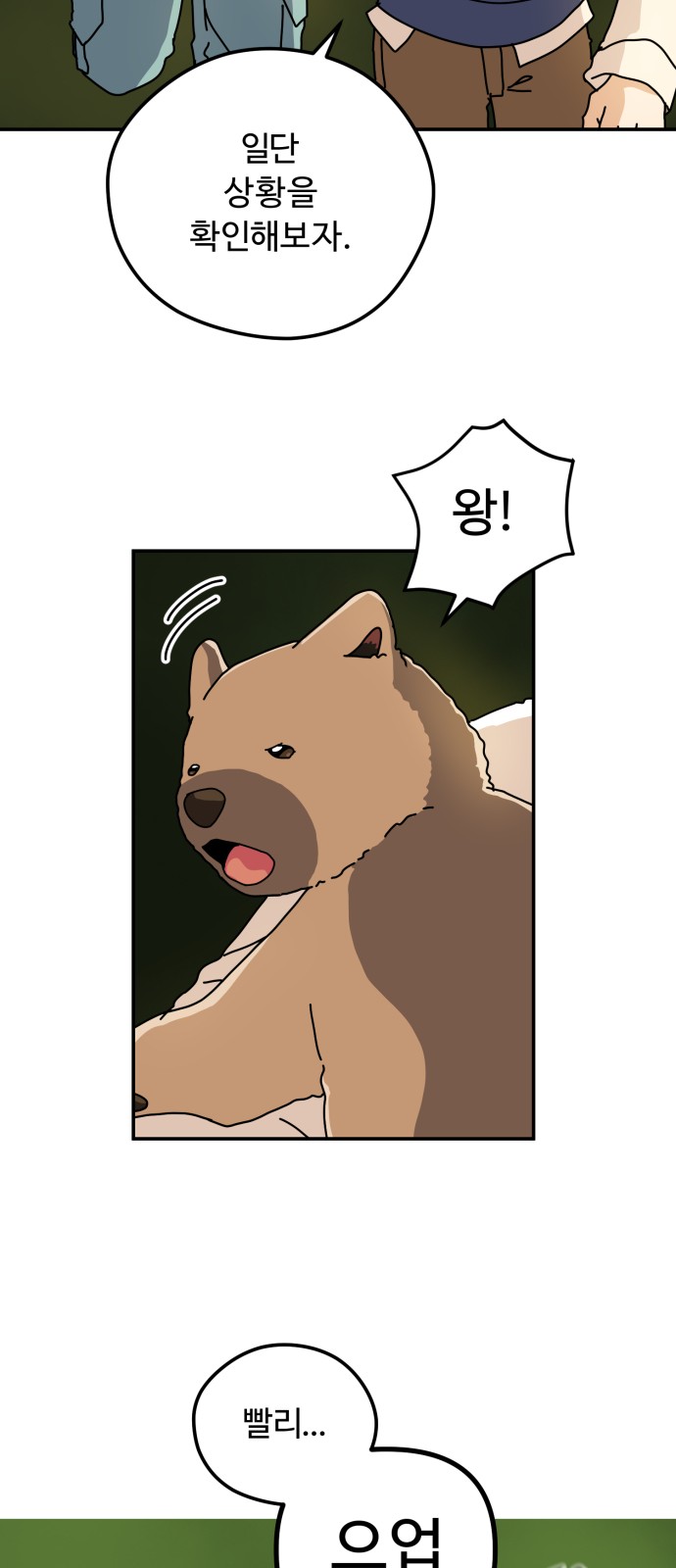 53 페이지