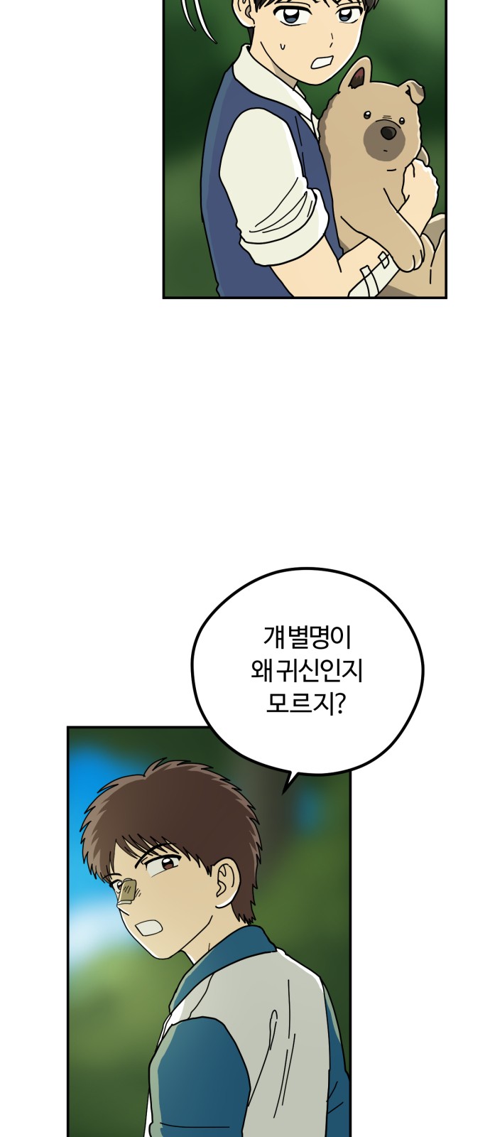 11 페이지