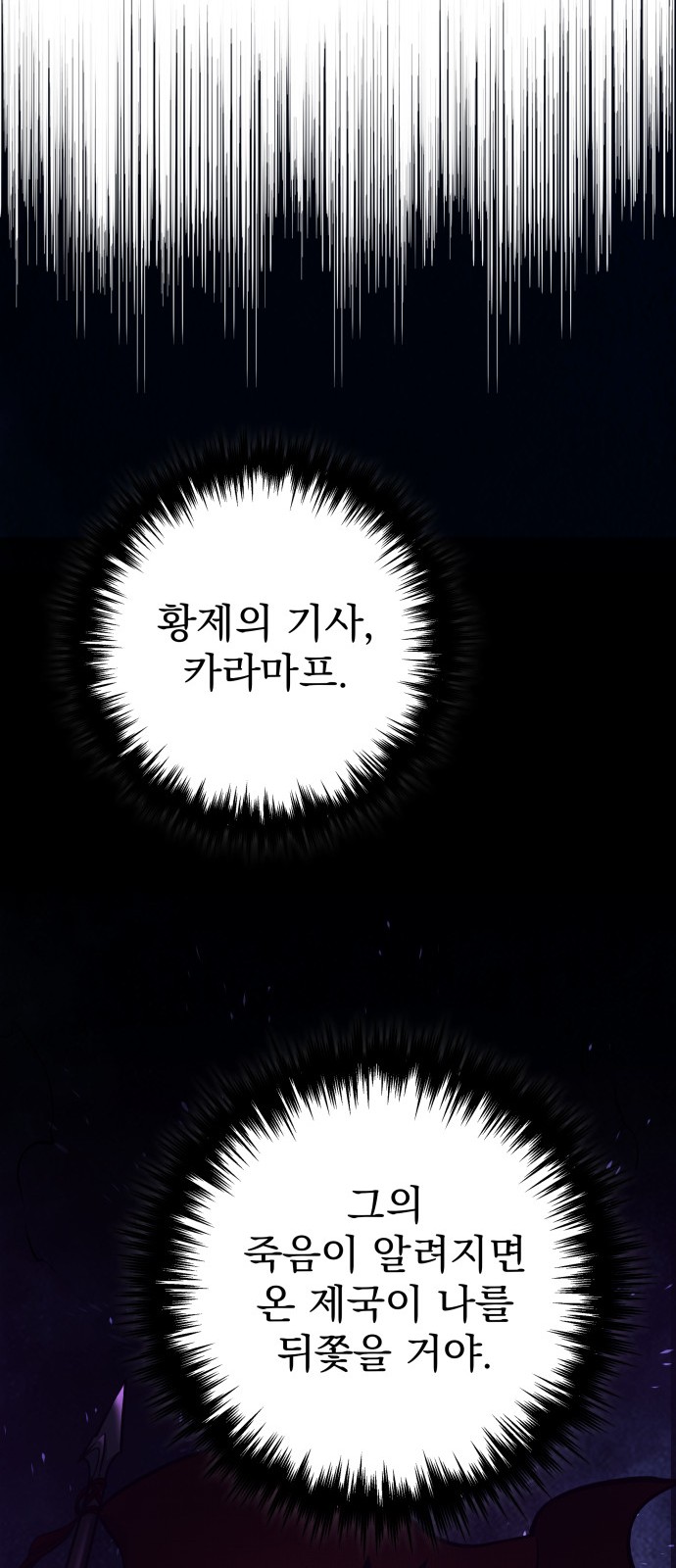 85 페이지