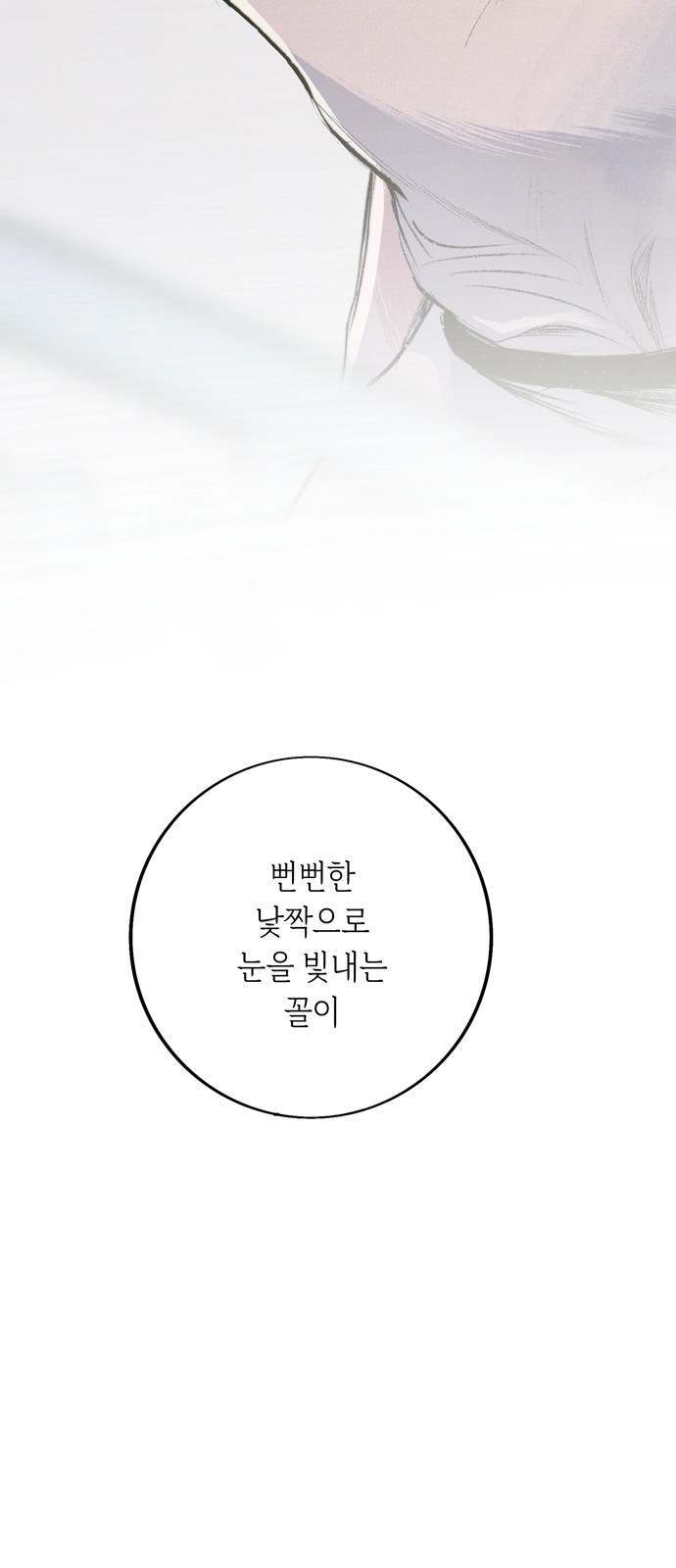 113 페이지
