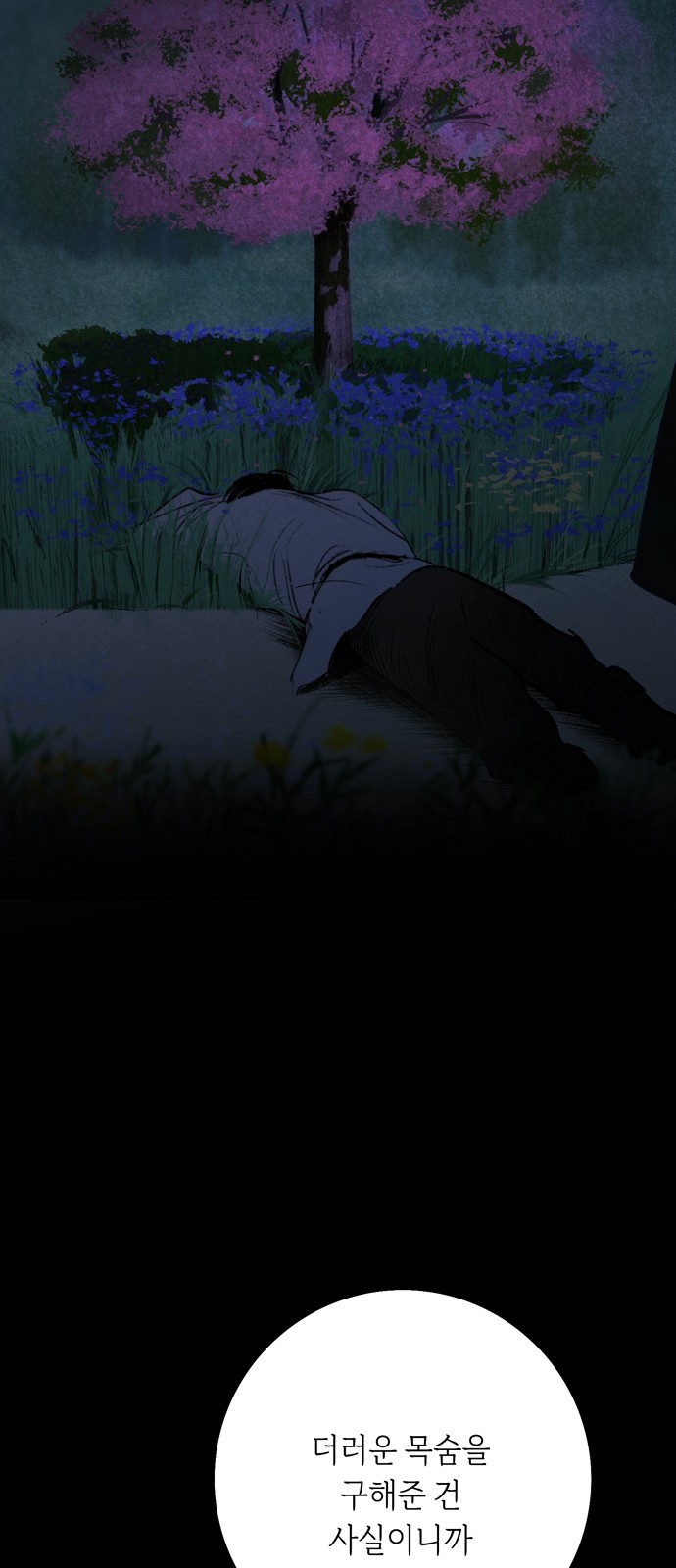 117 페이지