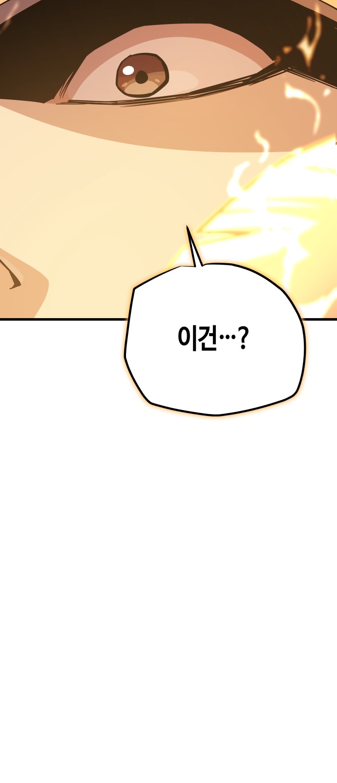 113 페이지