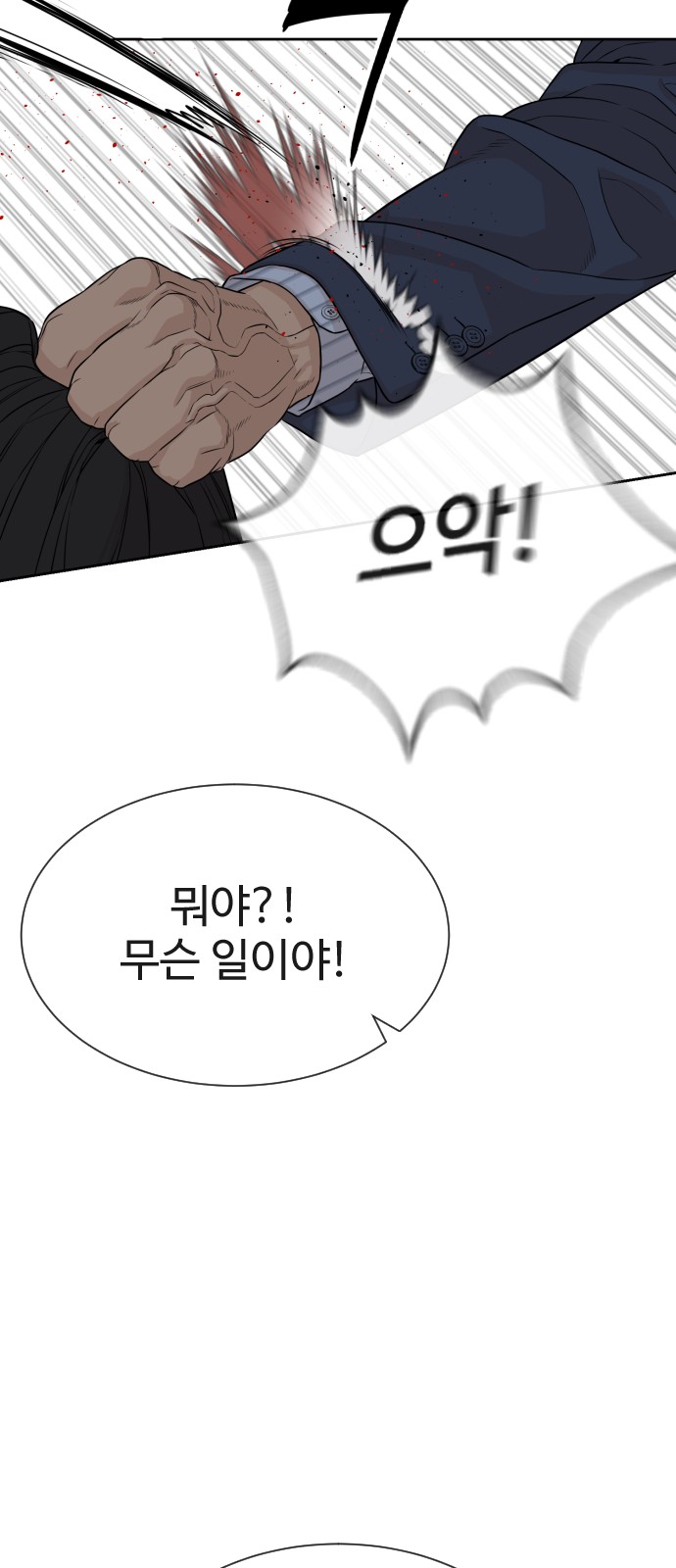 95 페이지