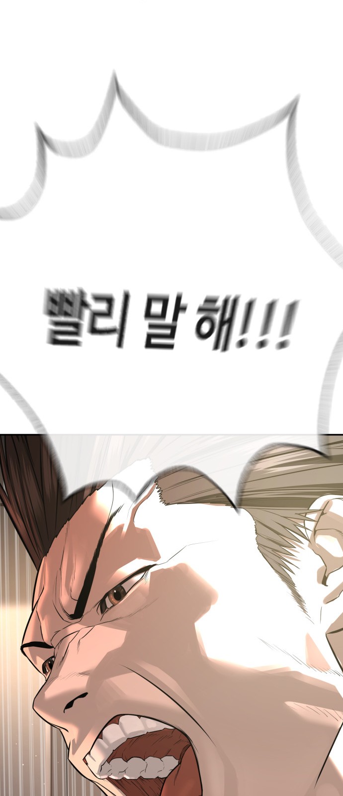 110 페이지