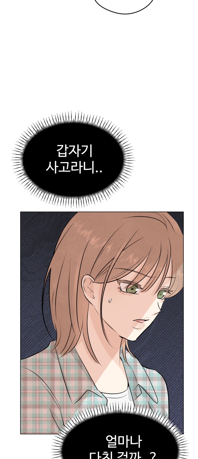 118 페이지