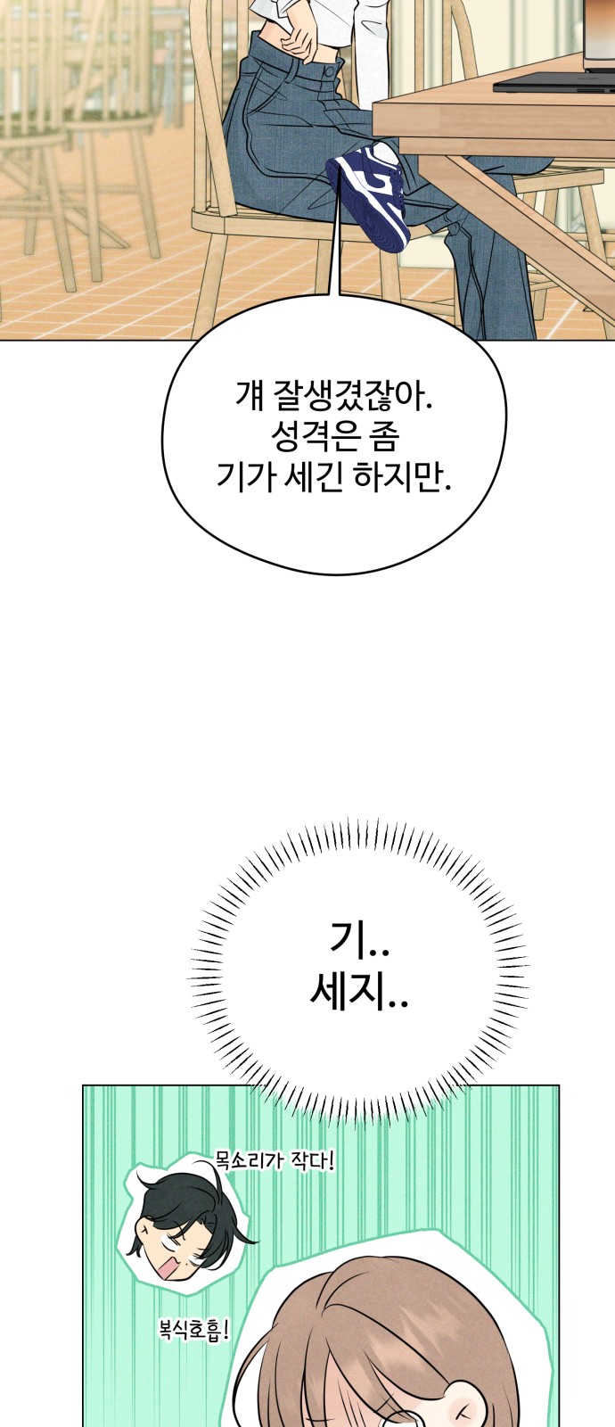 56 페이지