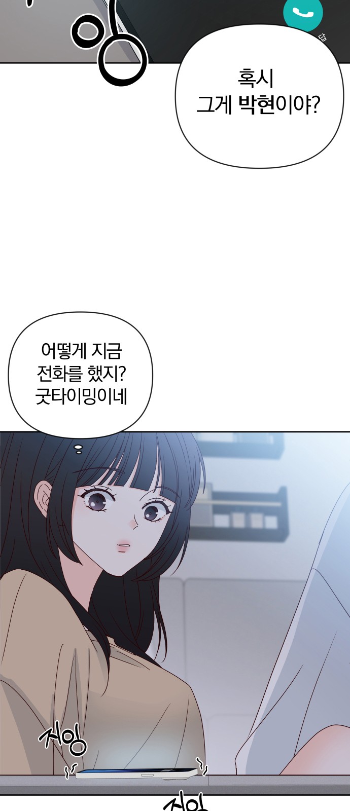 66 페이지
