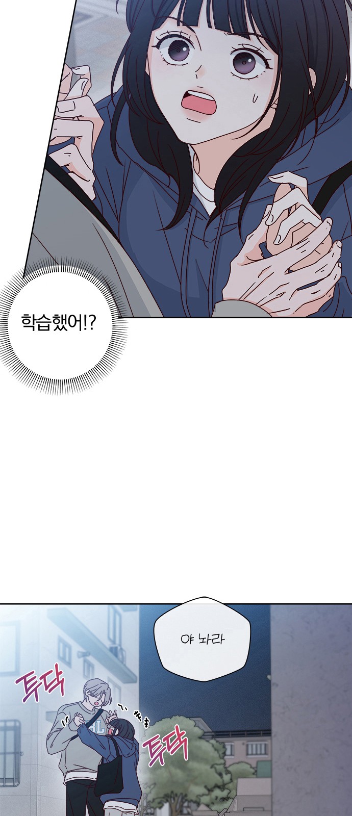 77 페이지