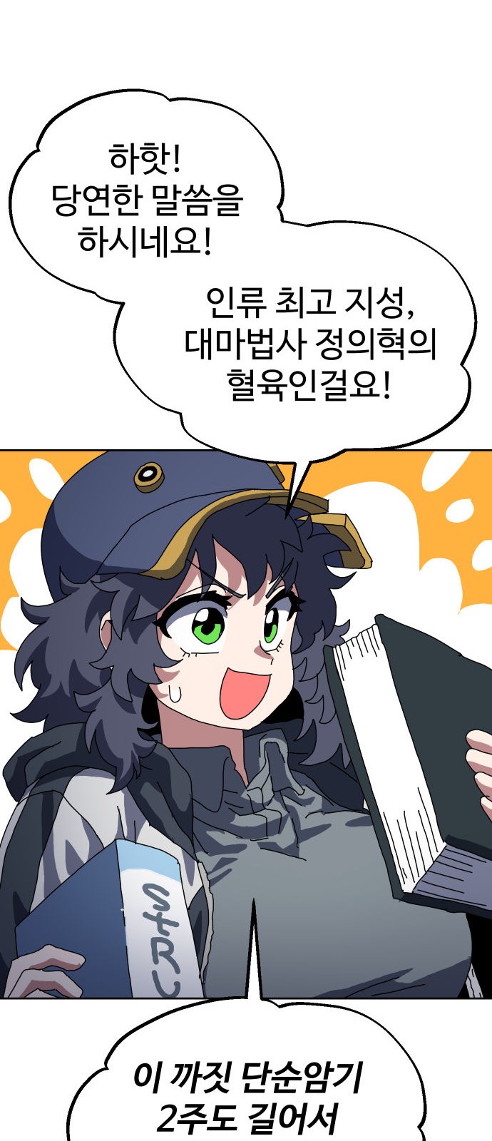 33 페이지