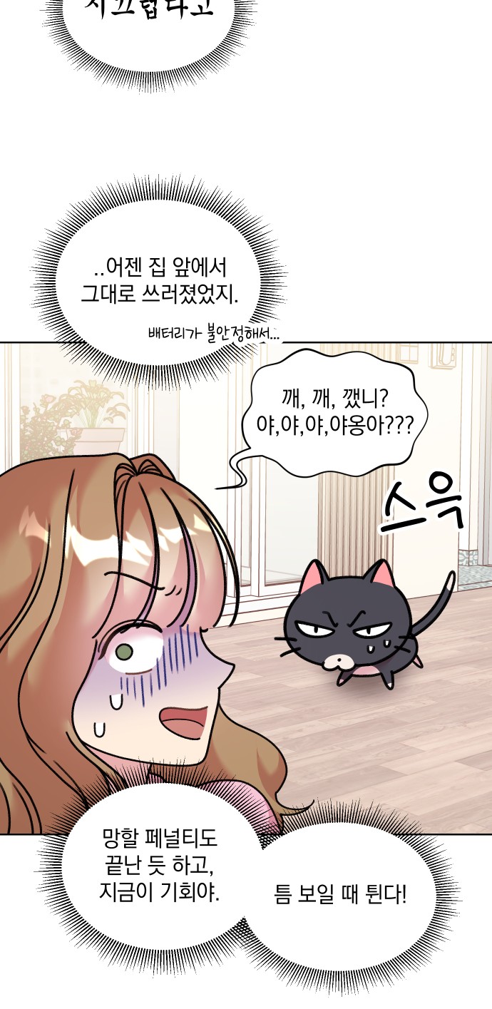 21 페이지