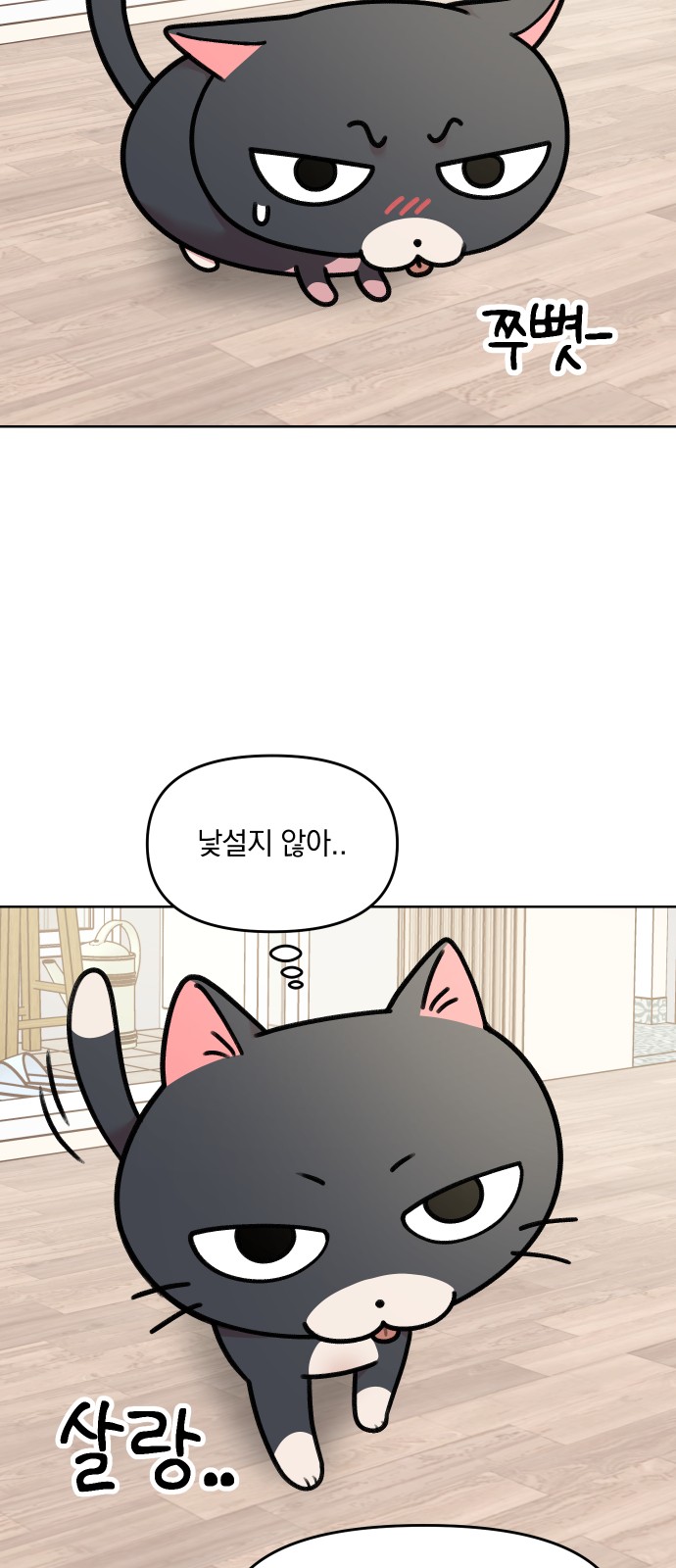 24 페이지
