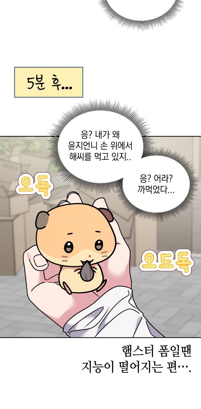 22 페이지