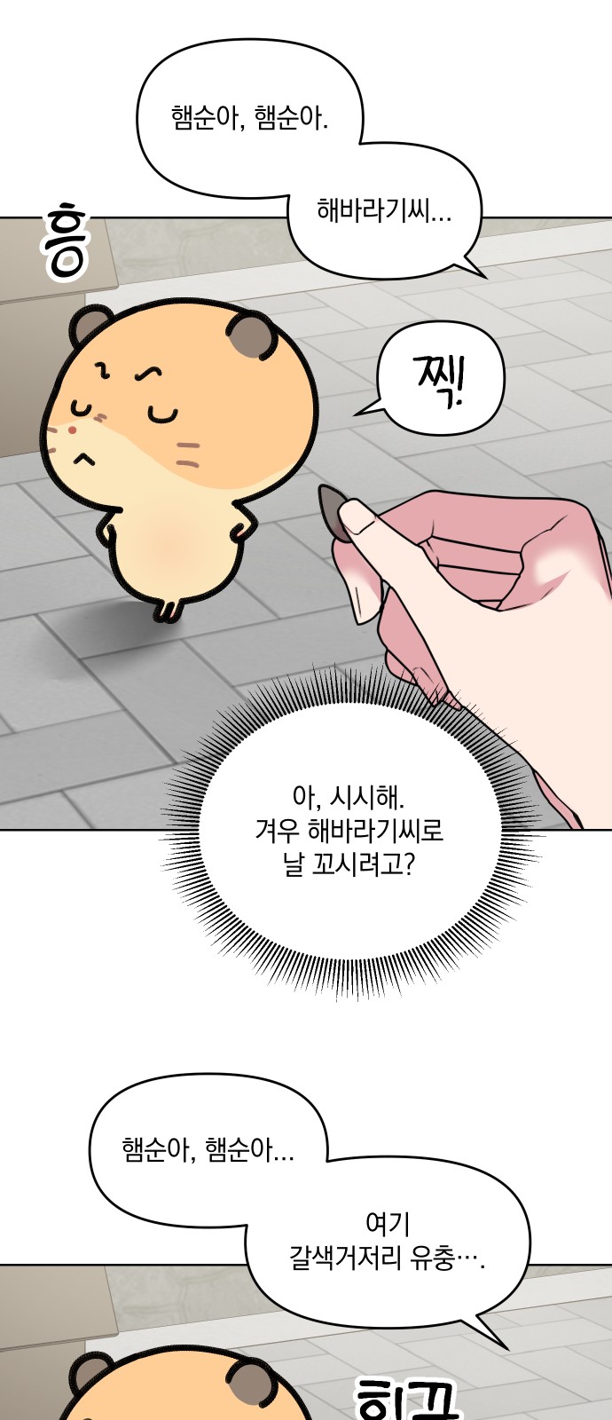 12 페이지