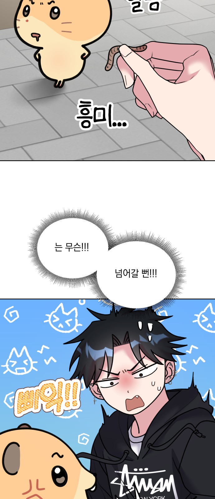 13 페이지