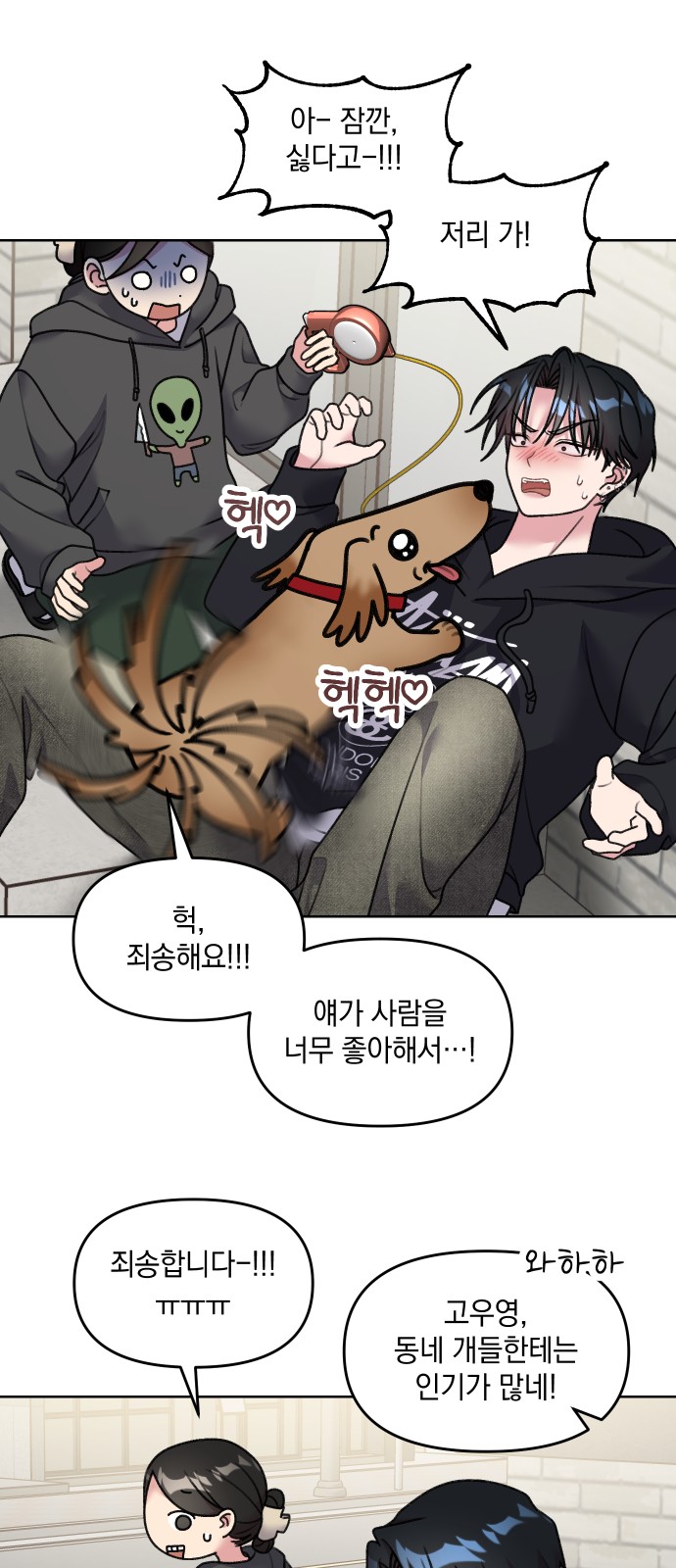 15 페이지