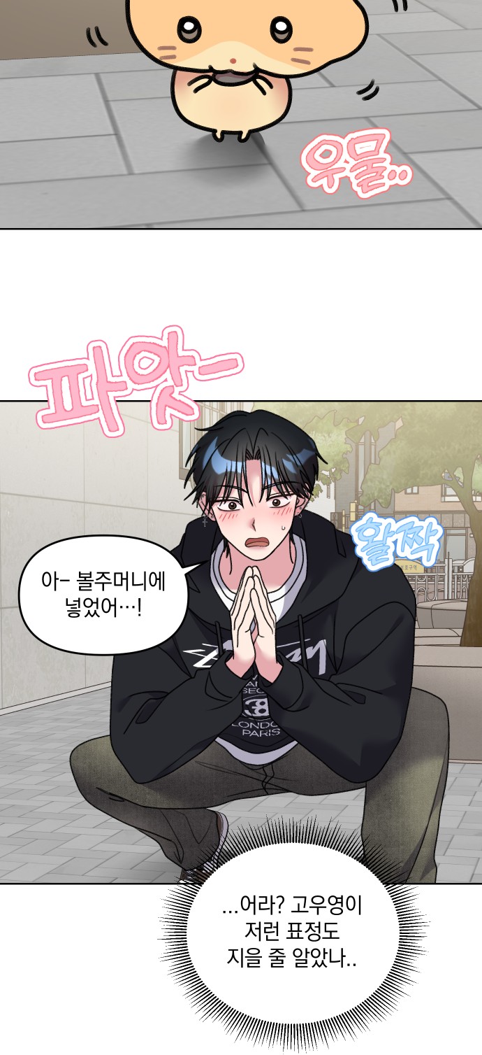 19 페이지