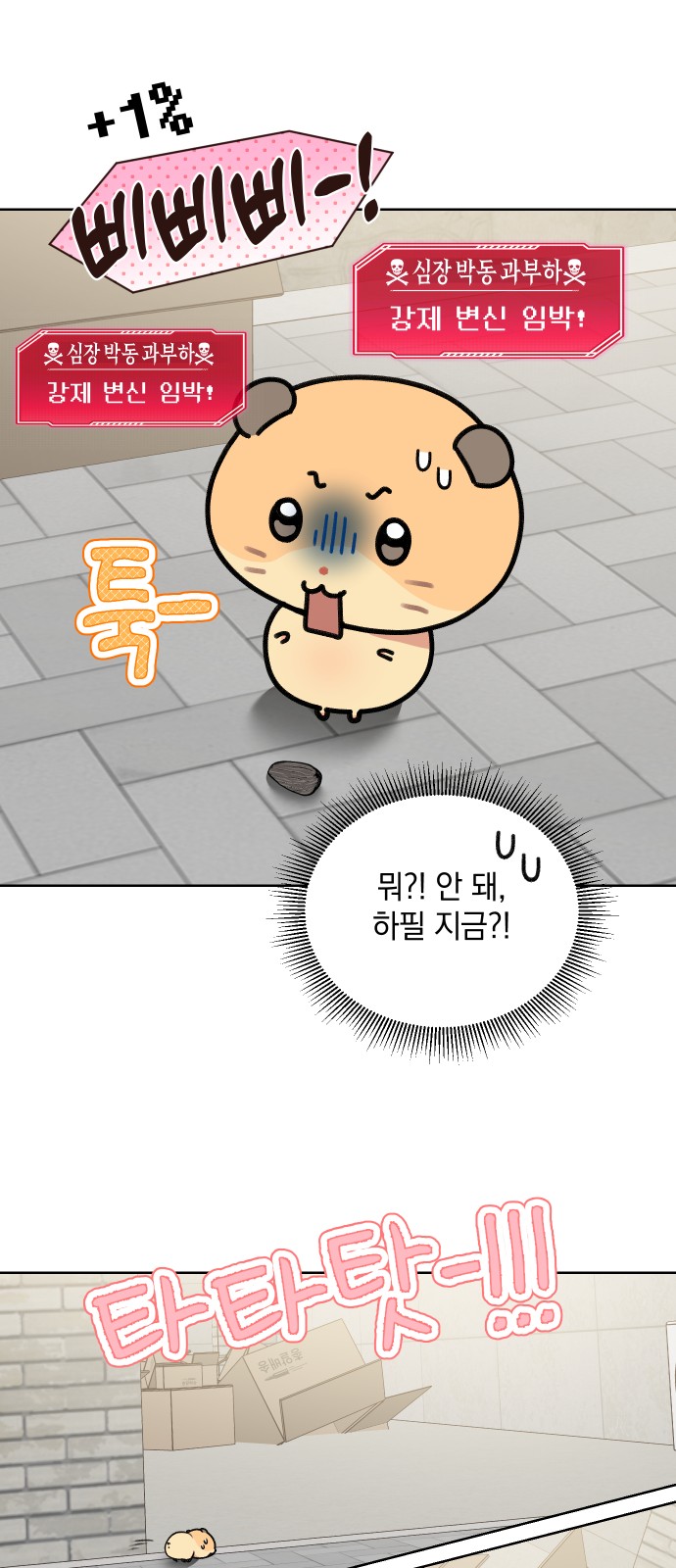 20 페이지