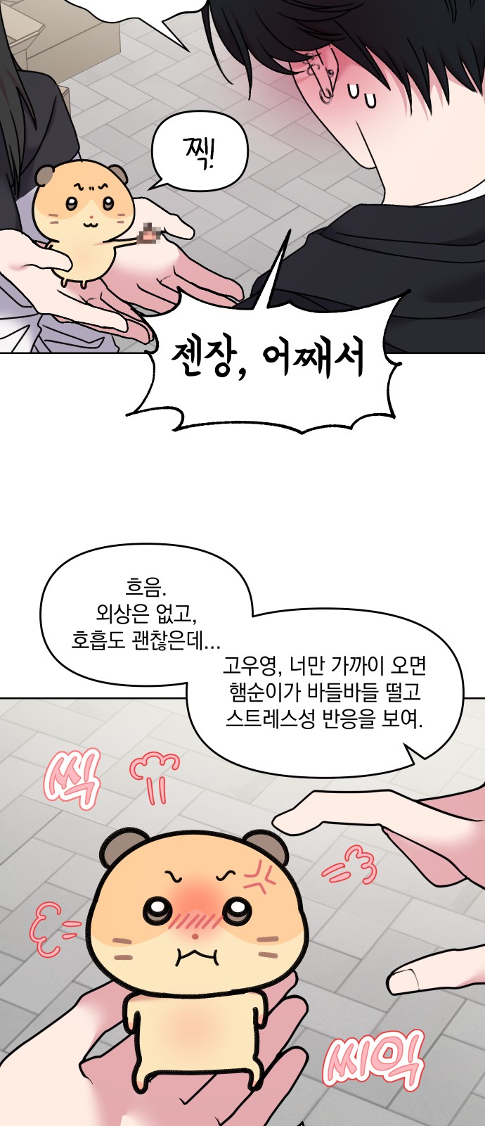 10 페이지