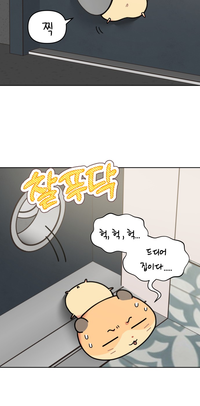 11 페이지