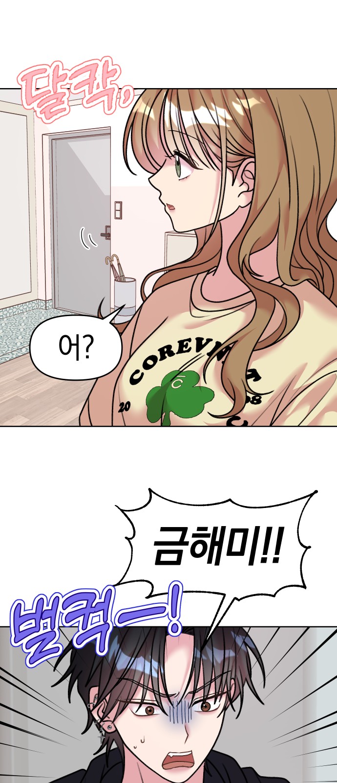 20 페이지