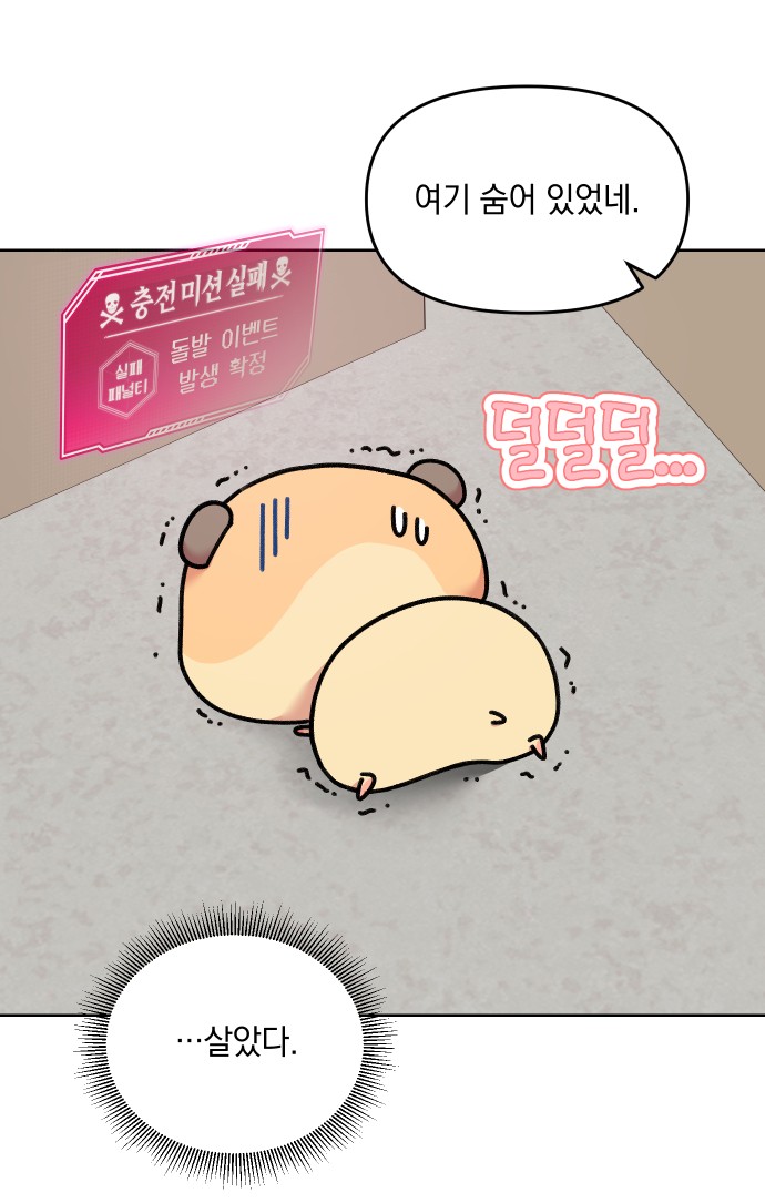 5 페이지