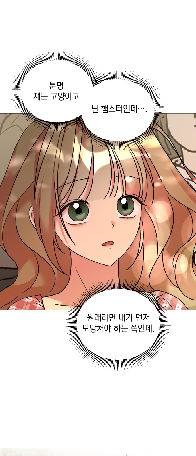 25 페이지