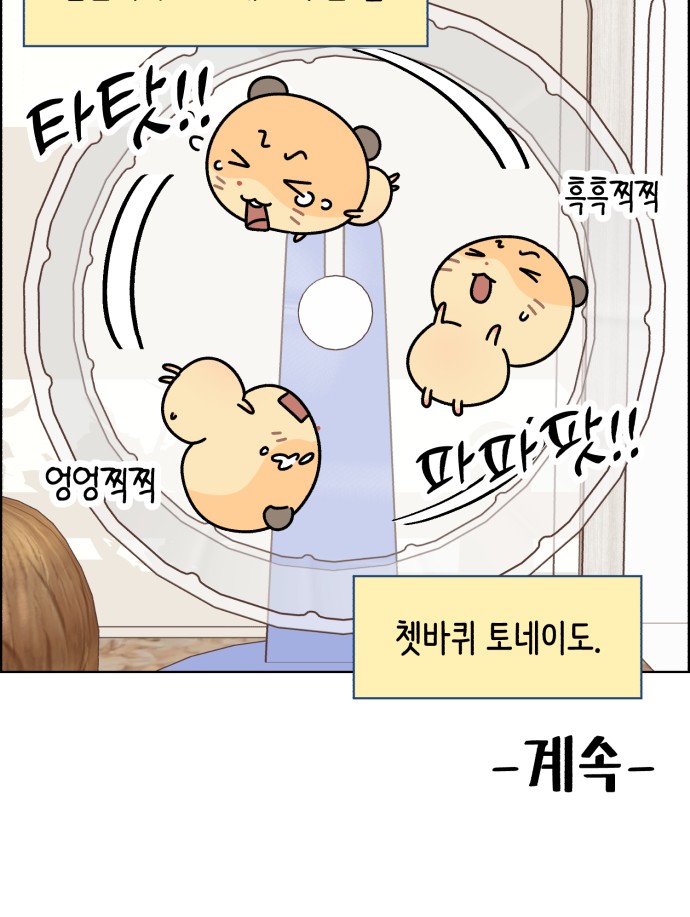 28 페이지