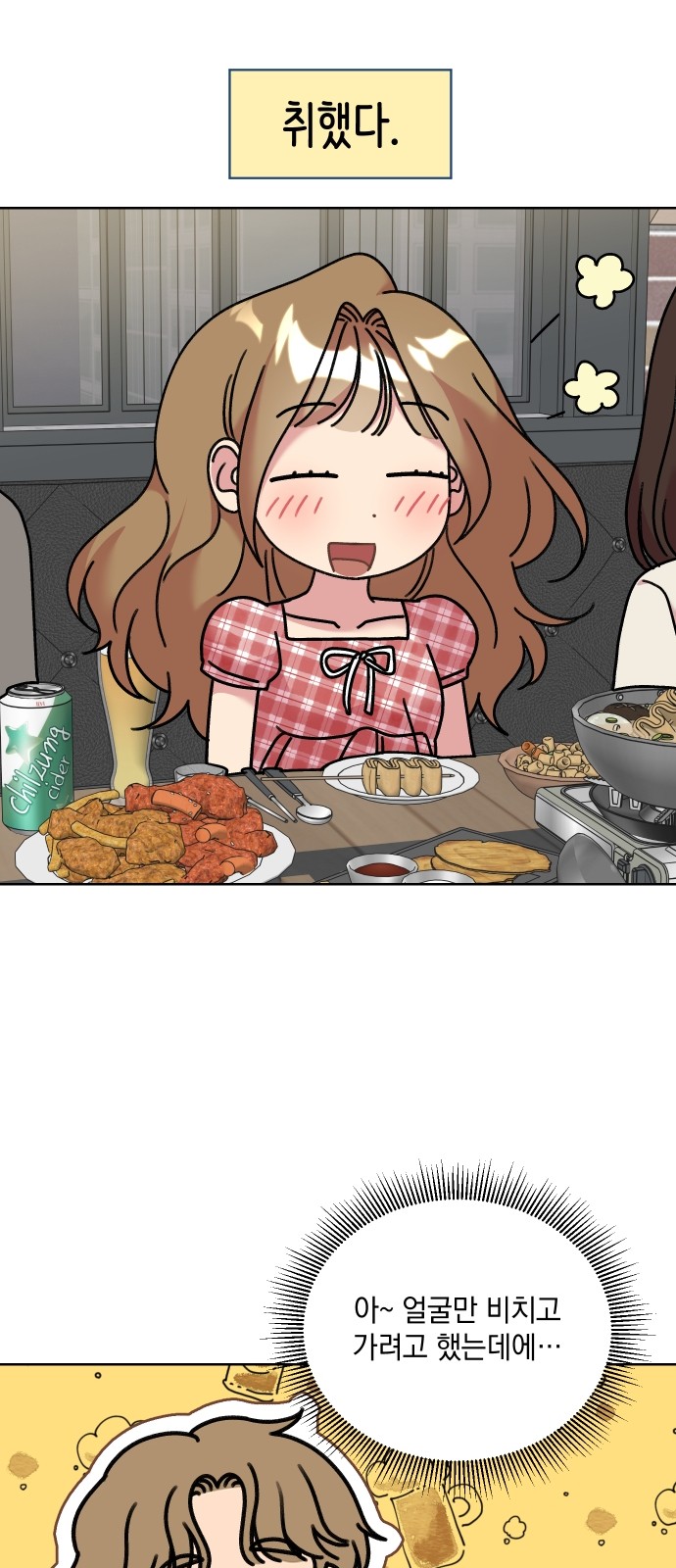 13 페이지