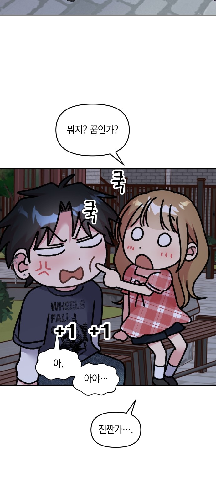 19 페이지