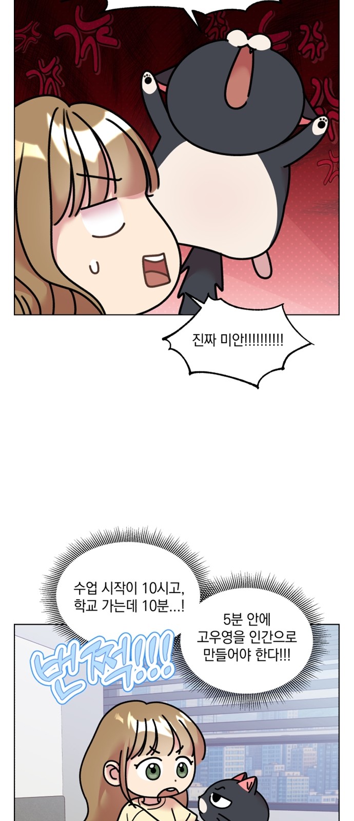 13 페이지