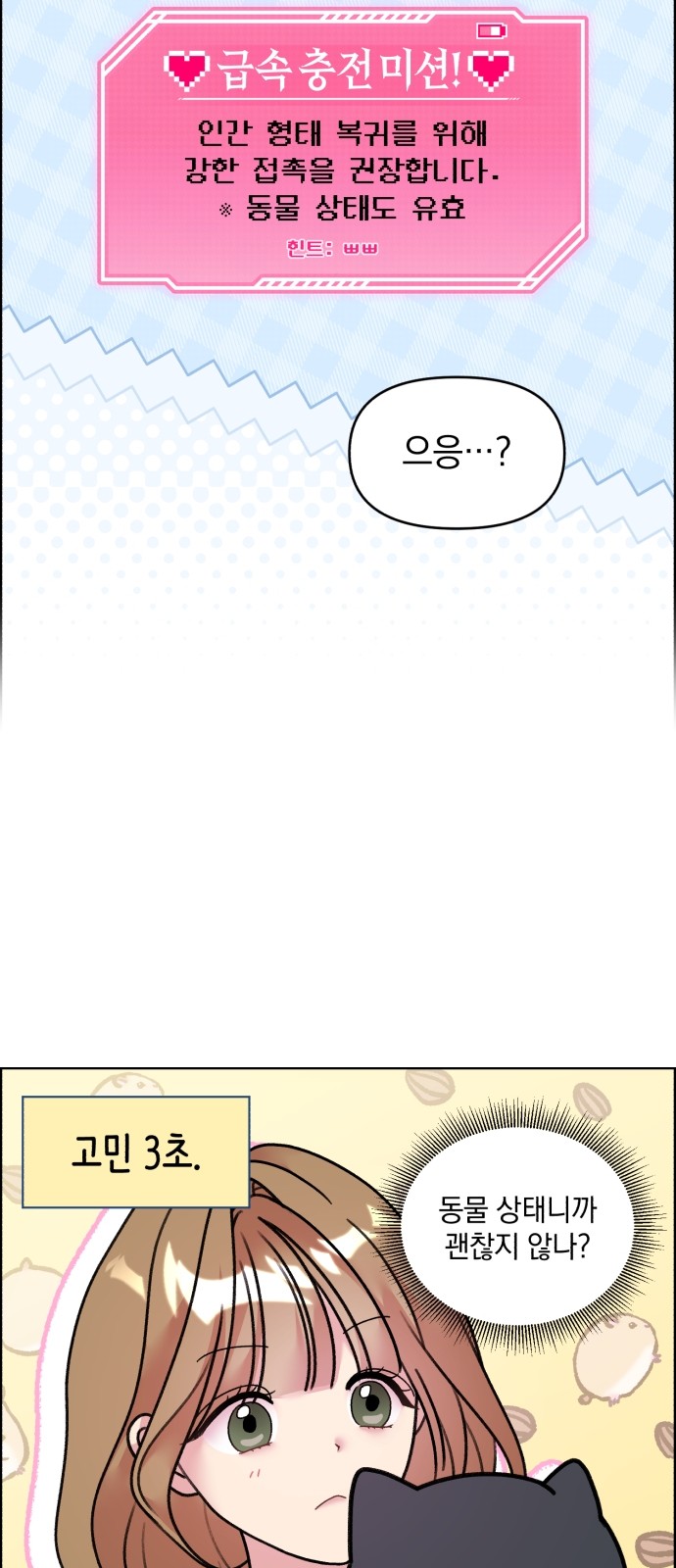 20 페이지