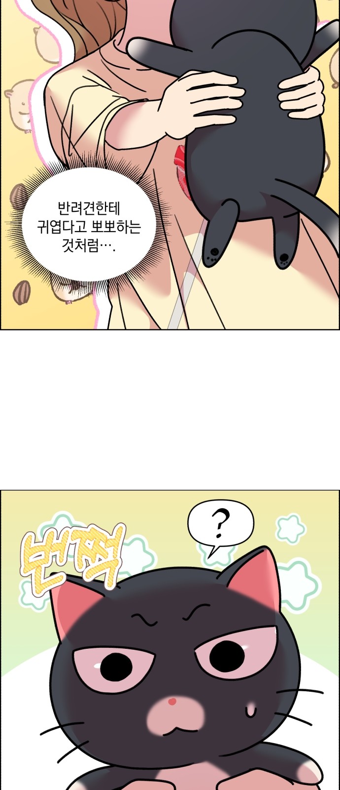 21 페이지