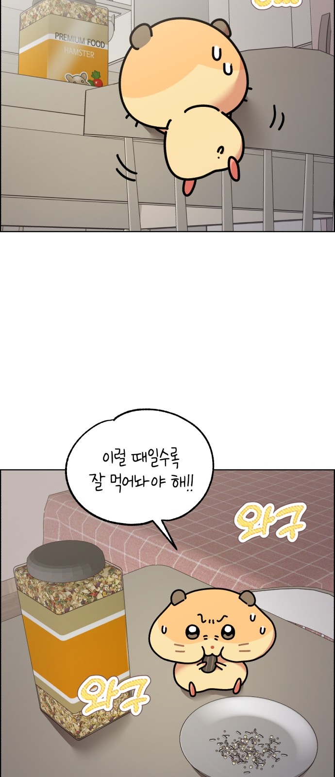 16 페이지