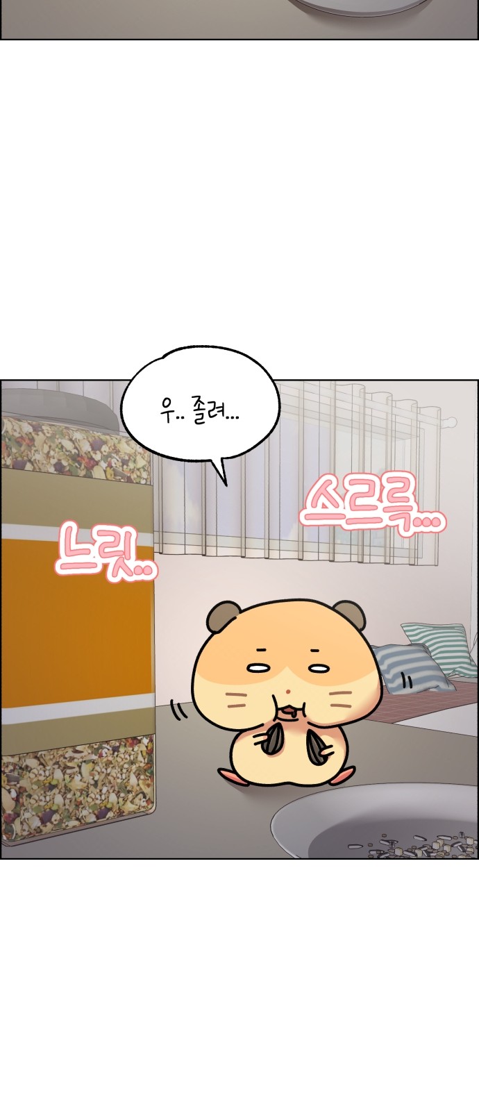 17 페이지