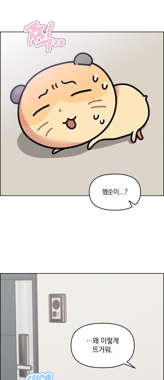 25 페이지