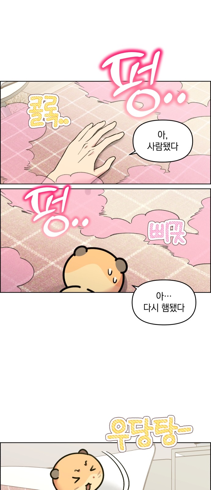11 페이지