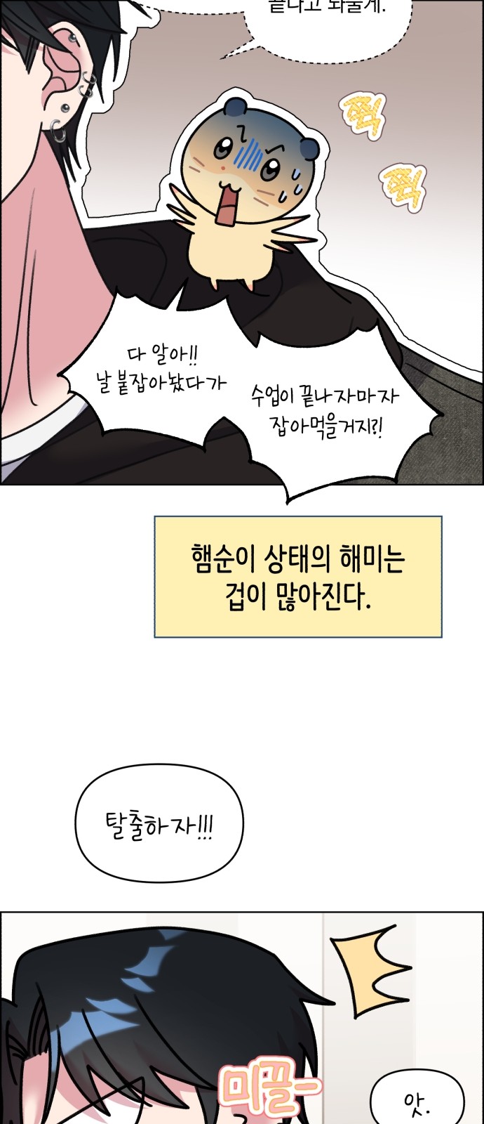 14 페이지