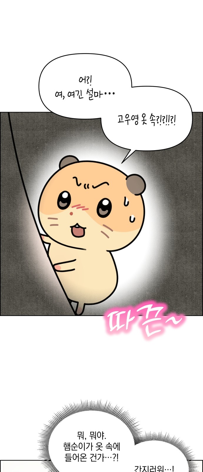 17 페이지